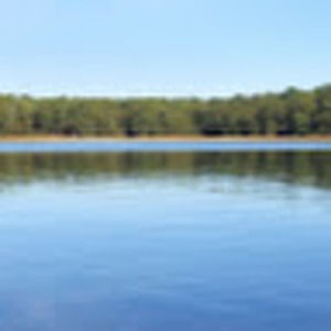 Meet your Posher, Connor